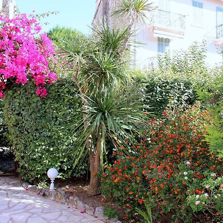 Central Avec Jardin Cannes Kültér fotó