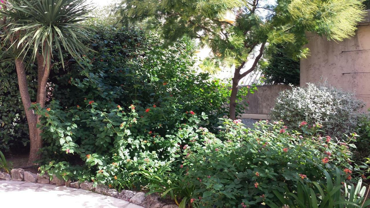 Central Avec Jardin Cannes Kültér fotó