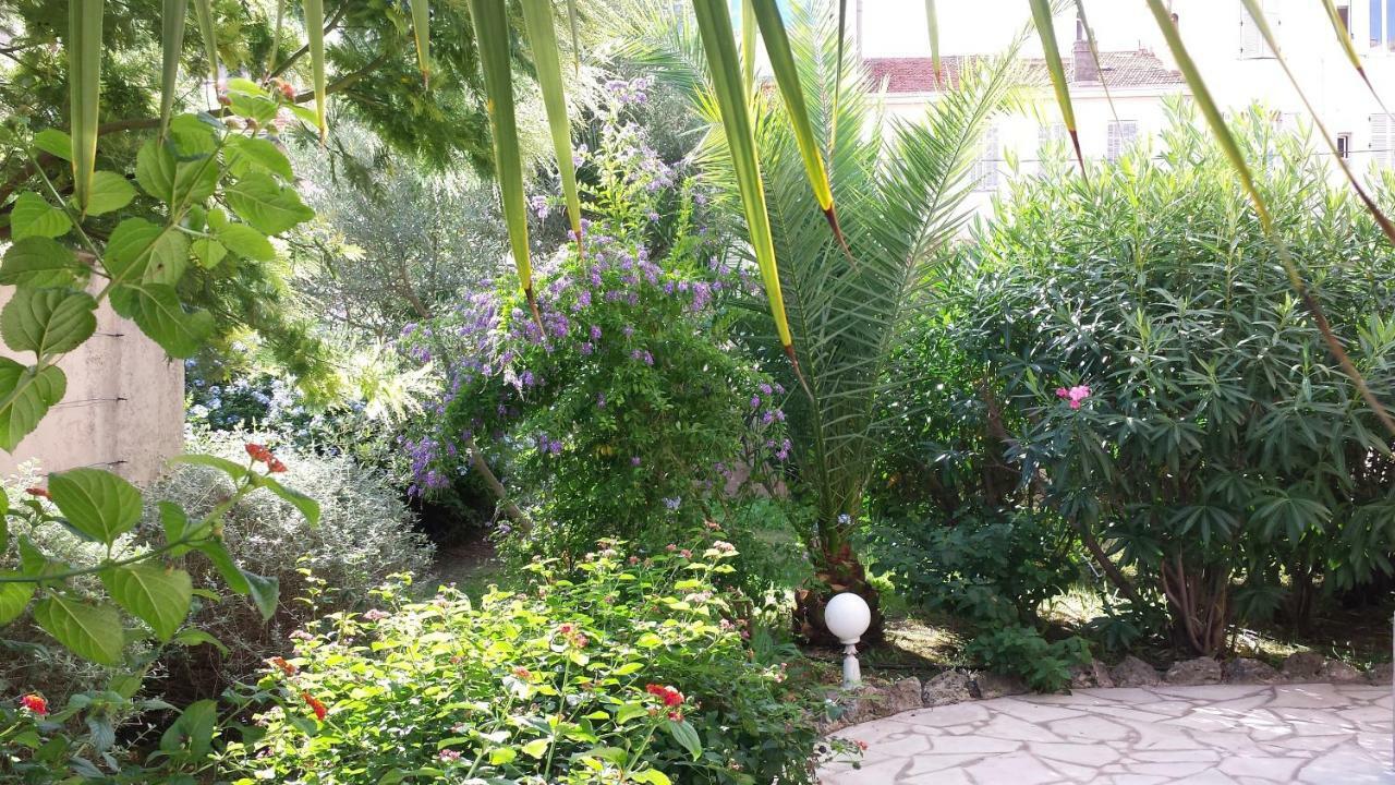 Central Avec Jardin Cannes Kültér fotó